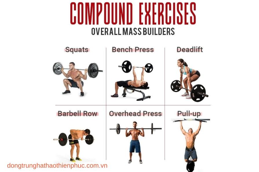 Bài tập compound giúp phát triển toàn diện các nhóm cơ