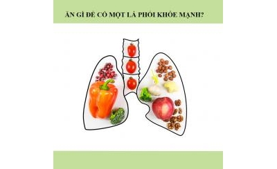 Vai trò của phổi đối với cơ thể? Nên ăn gì để bổ phổi?